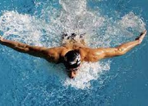 Khóa Dạy Bơi Bướm Quận 2, Thủ Đức, TP.HCM | Câu Lạc Bộ Dạy Bơi Sala Team